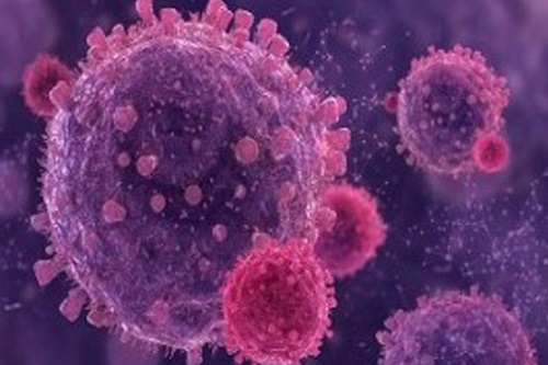 Trasplante e infecciones virales
